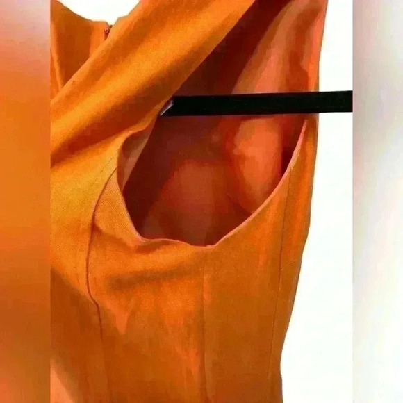 Safe Silk by Adrianna Papelll Size 6 sleeveless sheath midi dress - Picture 6 of 10